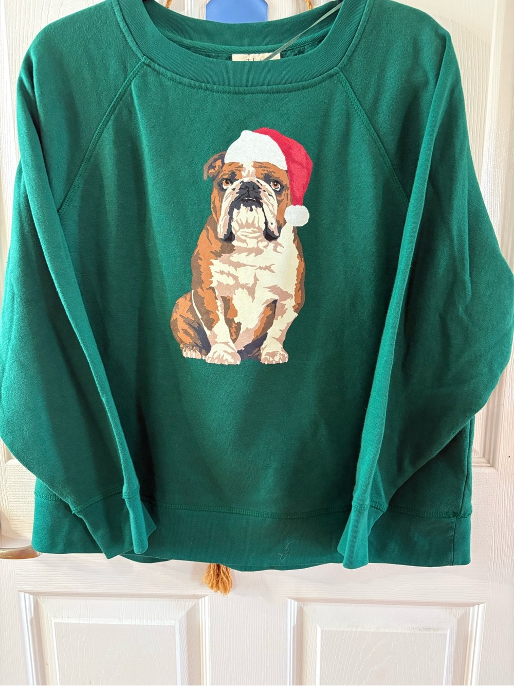 Style & Co. Green Bulldog Santa Dog Sweatshirt